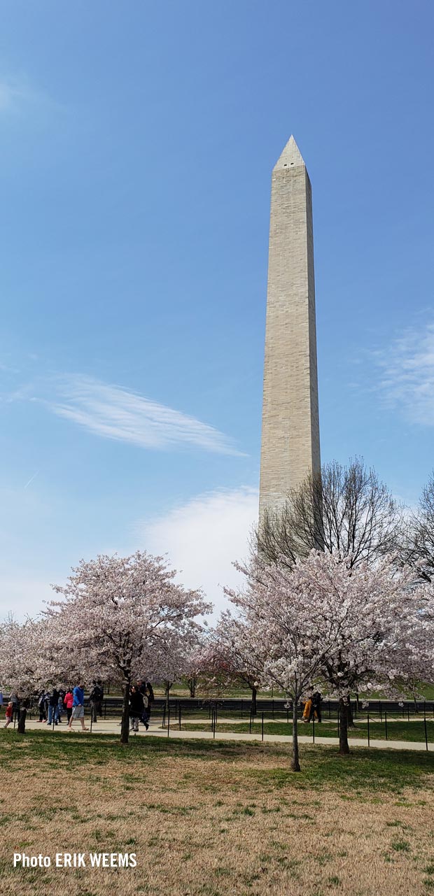 Washington Monument