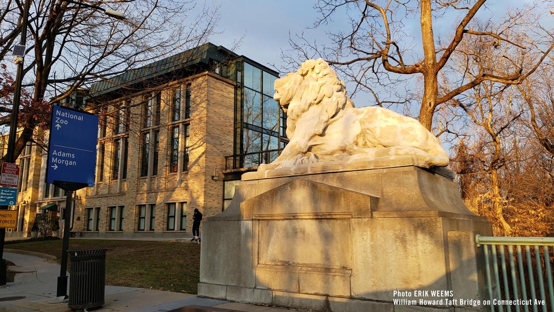 Lion Sculpture at the William Howard Taft Bridge on Connecticut Ave