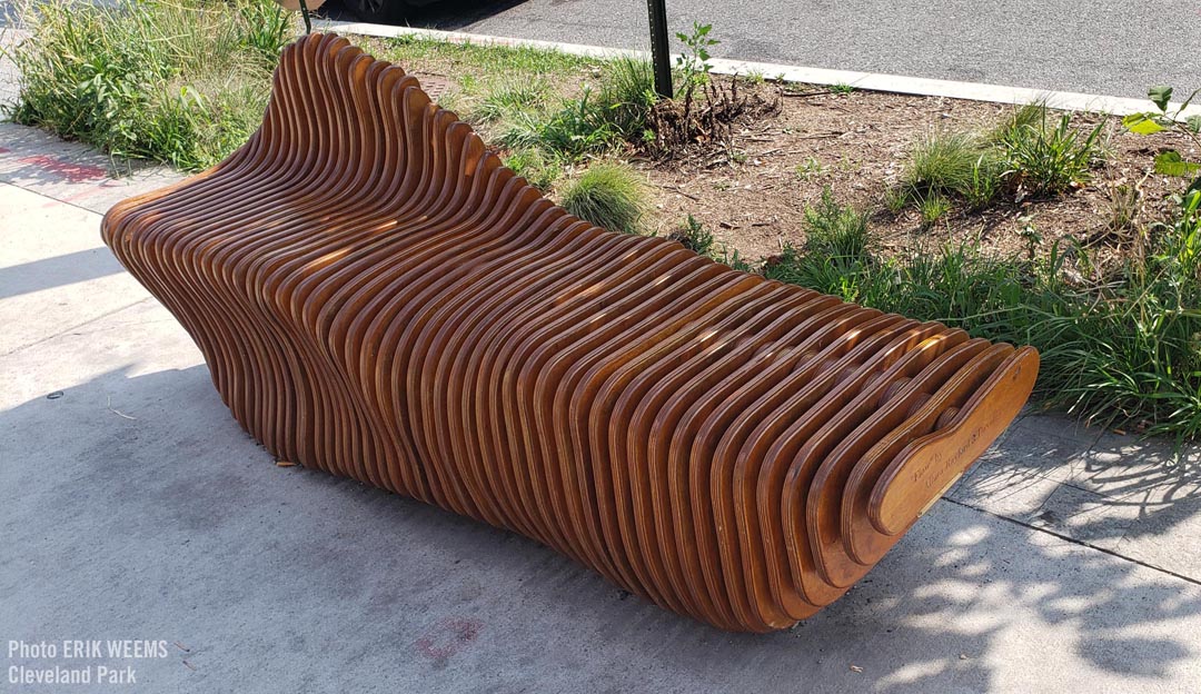 New park bench in Cleveland Park - flow