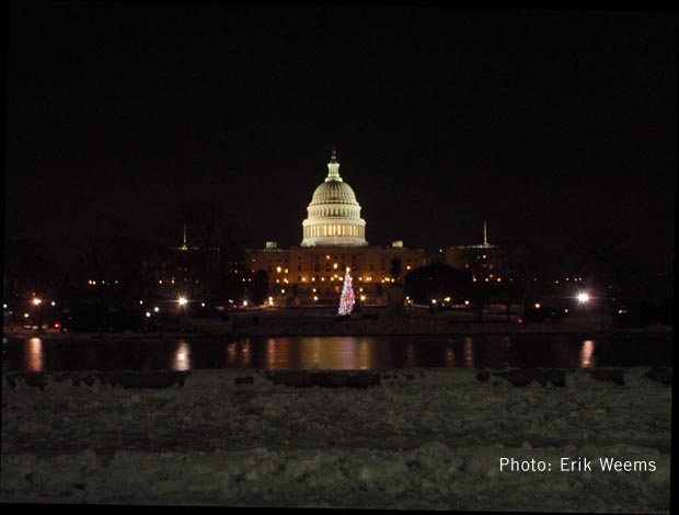 Capital Dome Christmas Tree - night time snow Capital Dome Christmas Tree - night time snow