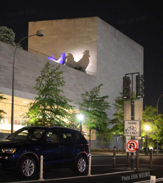 National Gallery Rooster