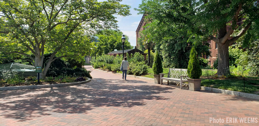Inside the Enid Haupt Garden