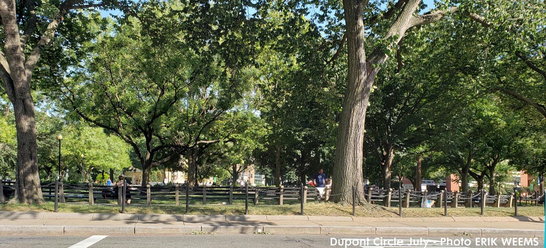 Dupont Circle July